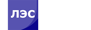 Логотип ЛифтЭлектроСервис